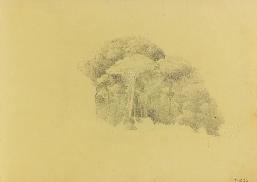 Manuel de Araújo Porto - Alegre, Studi di alberi